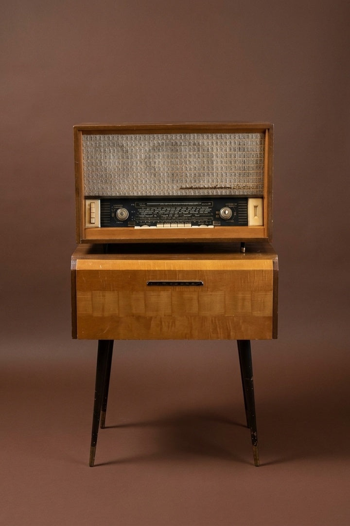 Meuble Bluetooth Schneider Vintage de 1959 - photo 2