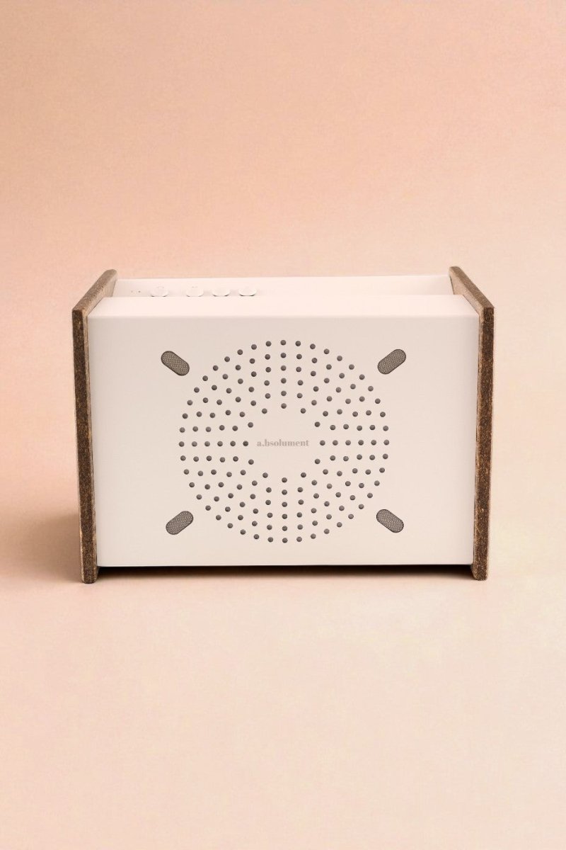PRODIGE X INSTEAD - Édition limitée en bière recyclée - radio - vintage - bluetooth - tsf - absolument - dab - modernisation - retrofit
