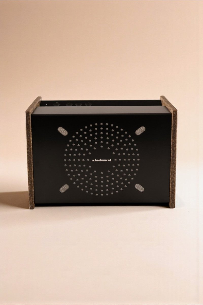PRODIGE X INSTEAD - Édition limitée en bière recyclée - radio - vintage - bluetooth - tsf - absolument - dab - modernisation - retrofit