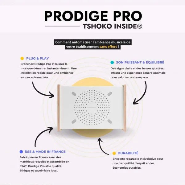 PRODIGE Pro - Simplifiez la gestion musicale de votre établissement - A.bsolument - Radios Vintage Bluetooth | Fabrication française