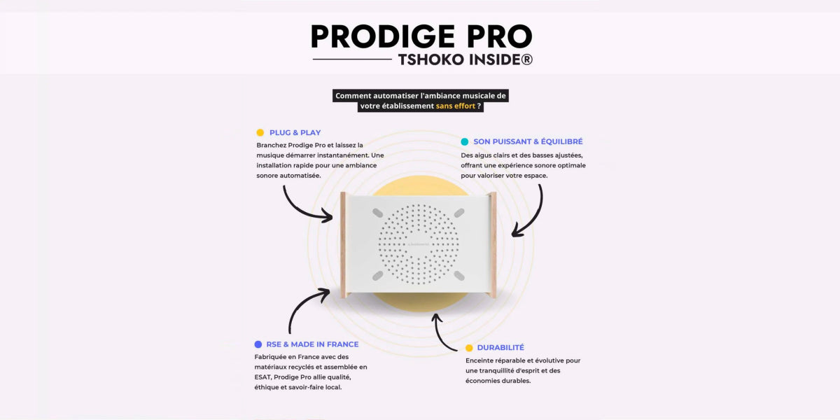 PRODIGE Pro - Simplifiez la gestion musicale de votre établissement - A.bsolument - Enceintes design et radios vintage modernisées | Fabrication française