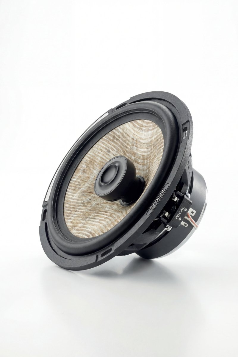 Haut - parleur Focal Flax (Unité) - radio - vintage - bluetooth - tsf - dab - modernisation - retrofit