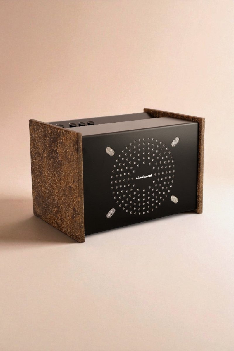 PRODIGE X INSTEAD - Édition limitée en bière recyclée - radio - vintage - bluetooth - tsf - absolument - dab - modernisation - retrofit