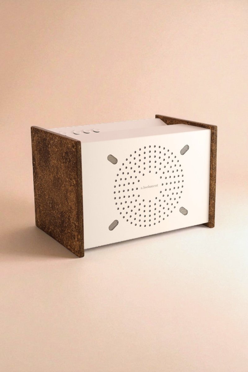 PRODIGE X INSTEAD - Édition limitée en bière recyclée - radio - vintage - bluetooth - tsf - absolument - dab - modernisation - retrofit